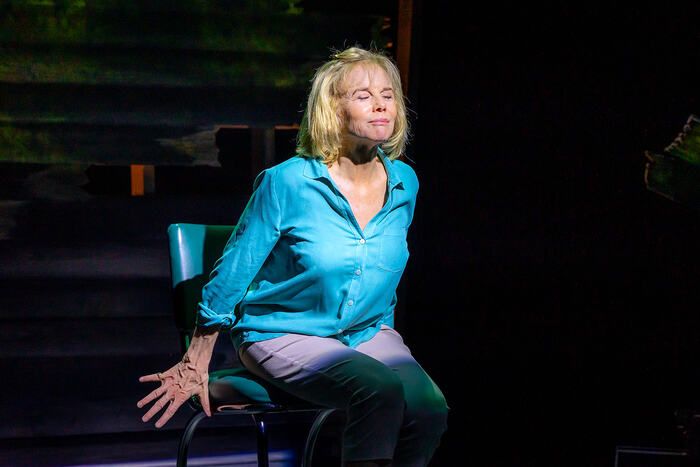 Photos: Linda Purl Stars in World Premiere of CRAZY MAMA at Rubicon Theatre Company — photo 11 of 13