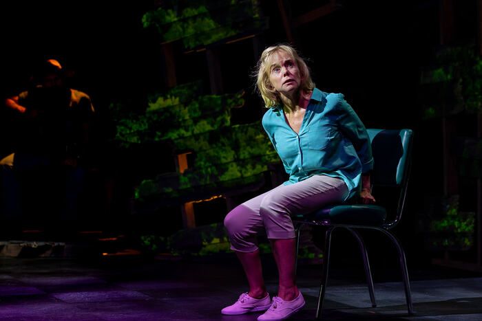 Photos: Linda Purl Stars in World Premiere of CRAZY MAMA at Rubicon Theatre Company — photo 6 of 13