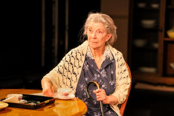 Photos: First Look At Sarasota Jewish Theatre's LOST IN YONKERS  Image