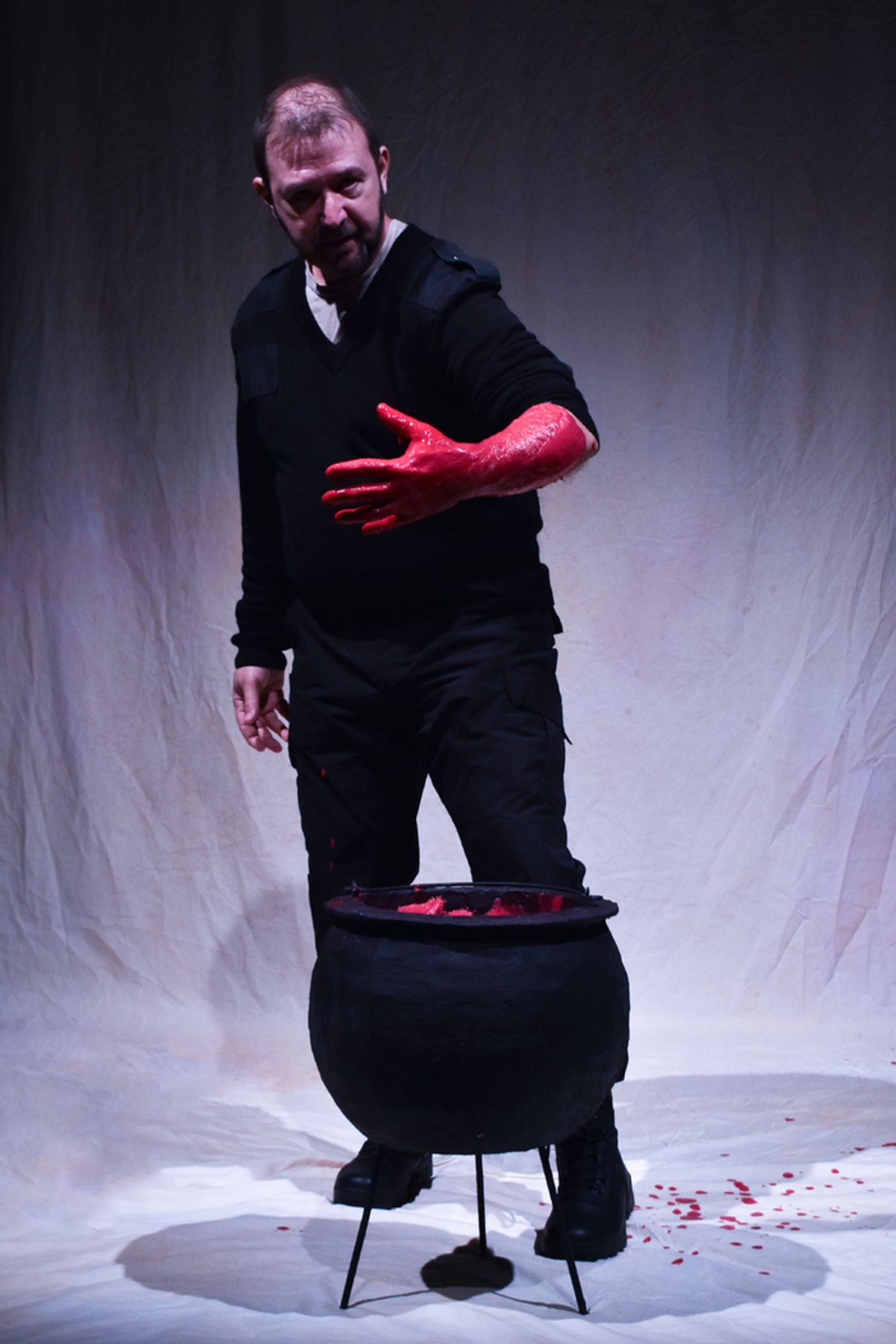 Photos: I, BANQUO At Hedgrow Theatre Company  Image