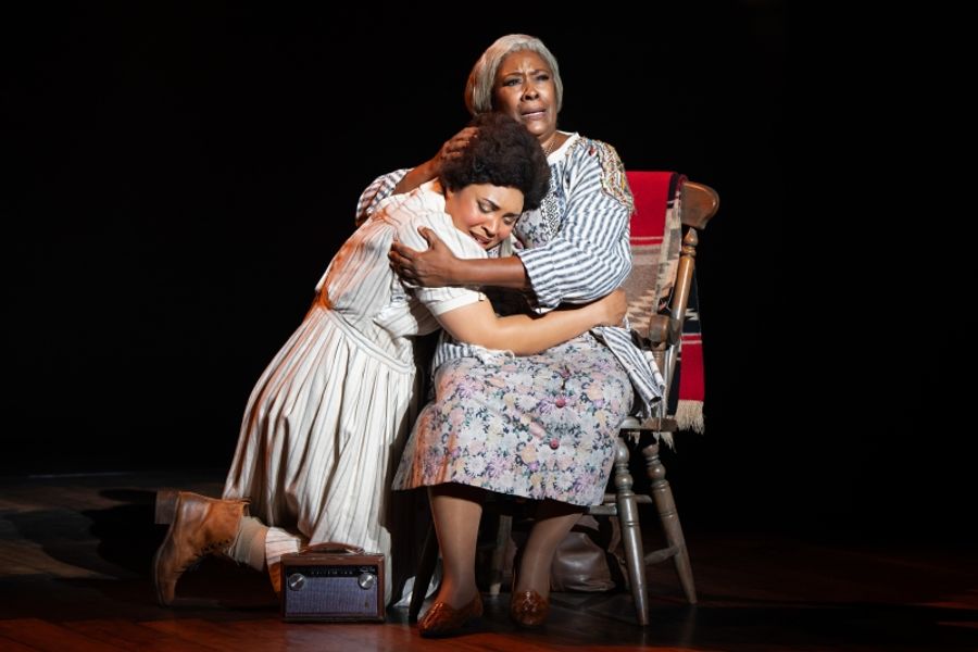 Review: TINA: THE TINA TURNER MUSICAL Rolls Onto the Vancouver Stage Image