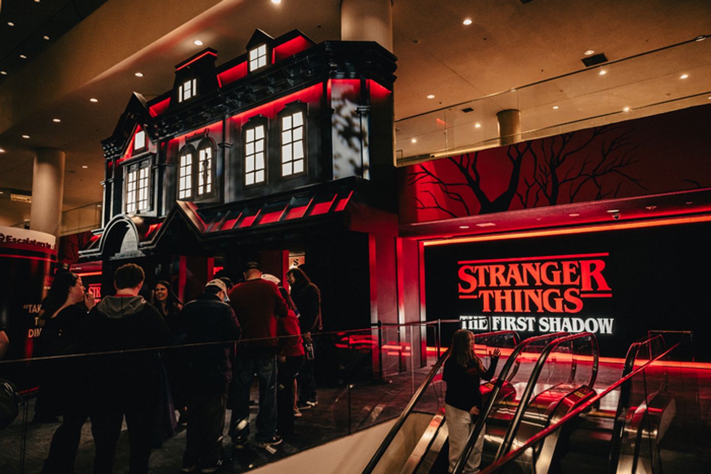 Photos: STRANGER THINGS: THE FIRST SHADOW Takes First Broadway Bows  Image