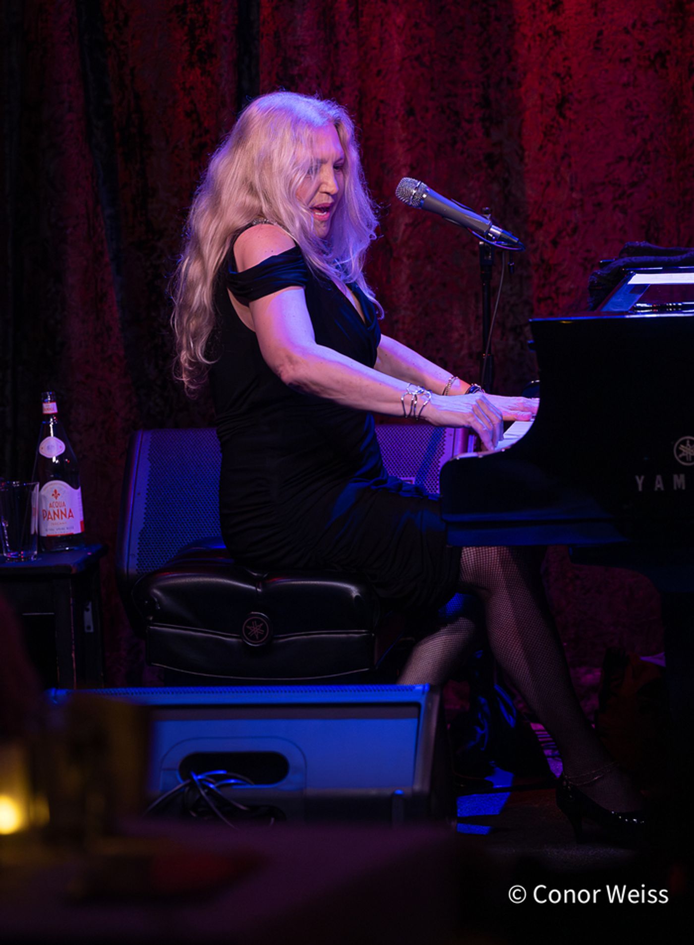 Photos: See Highlights from Eliane Elias's Opening Night at Birdland  Image