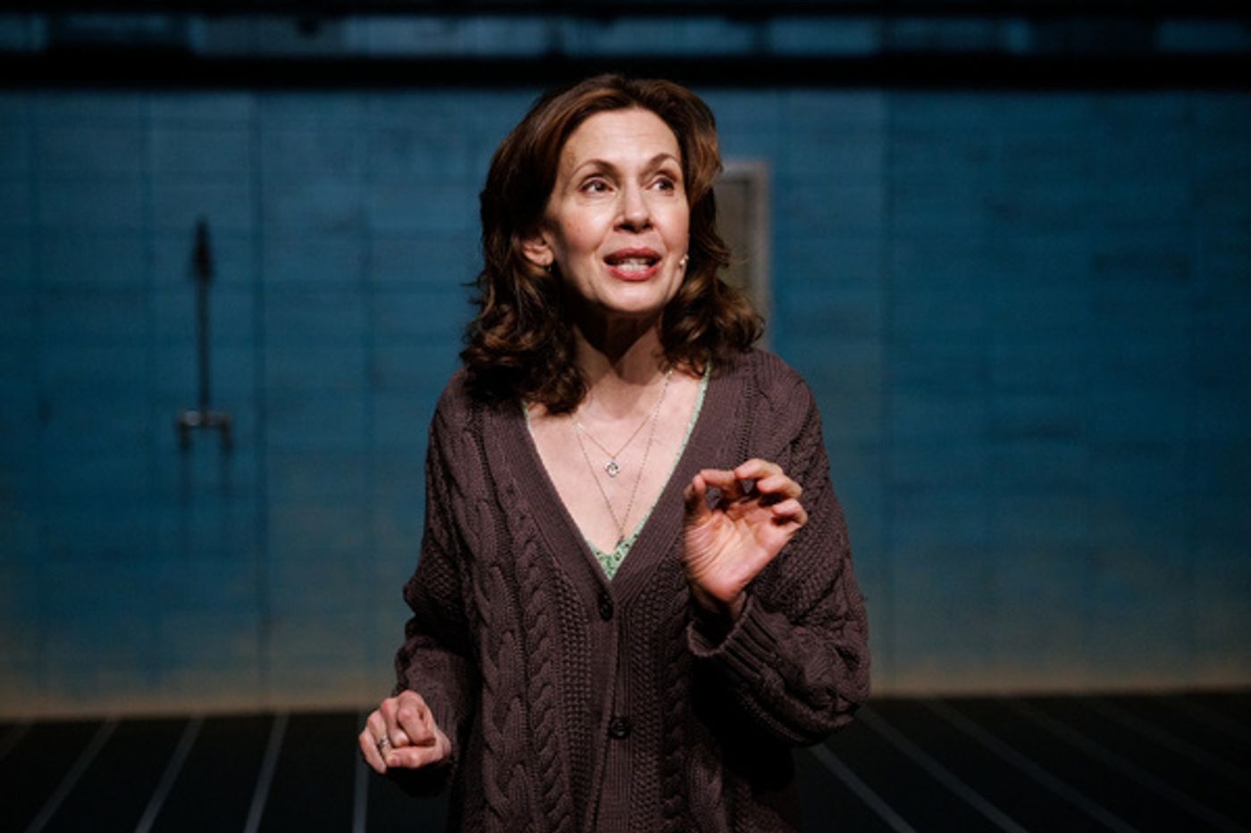 Photos: Jessica Hecht Stars In A MOTHER At Baryshnikov Arts  Image
