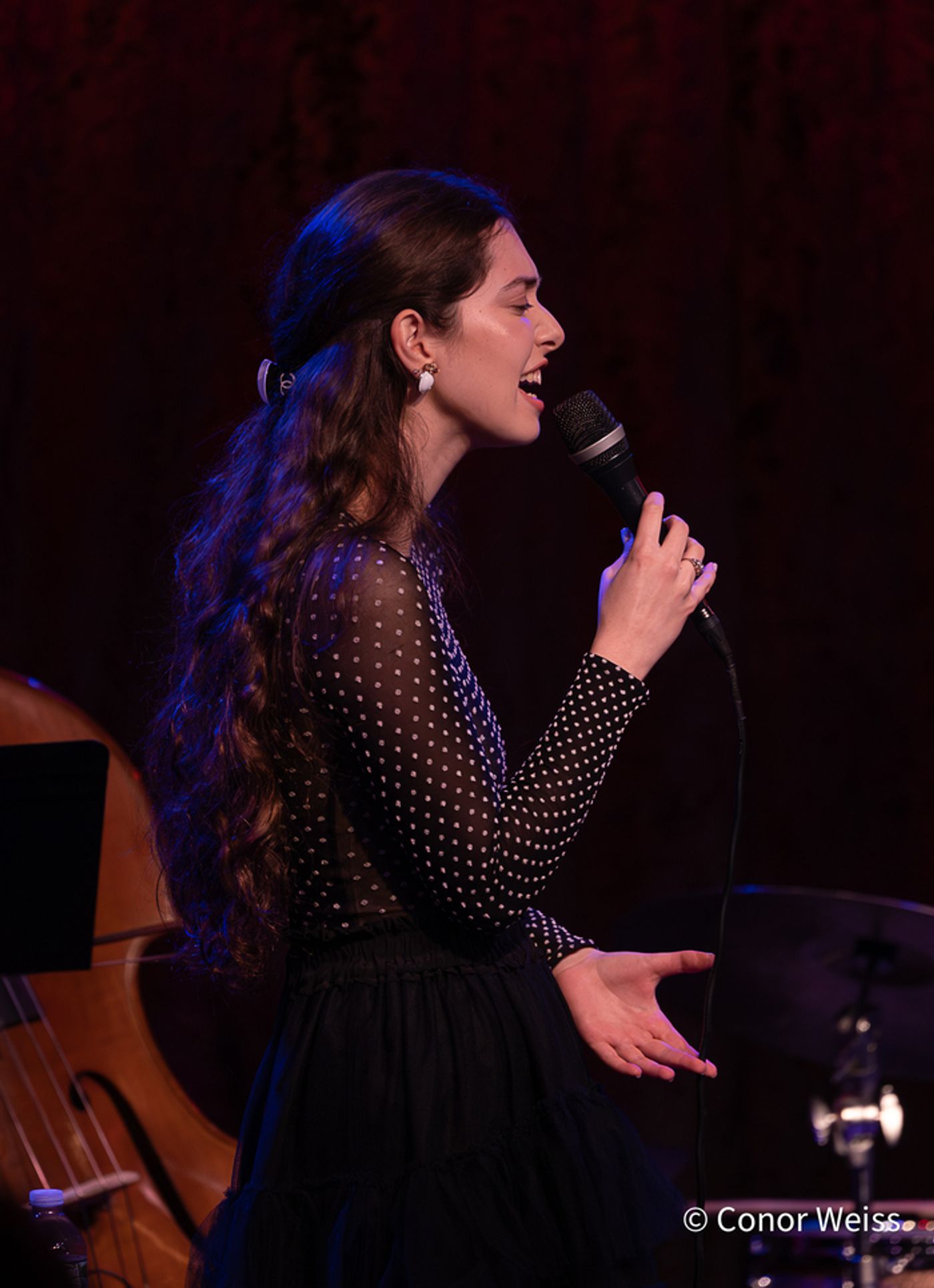 Photos: See Highlights from the ANAIS RENO QUARTET at Birdland  Image