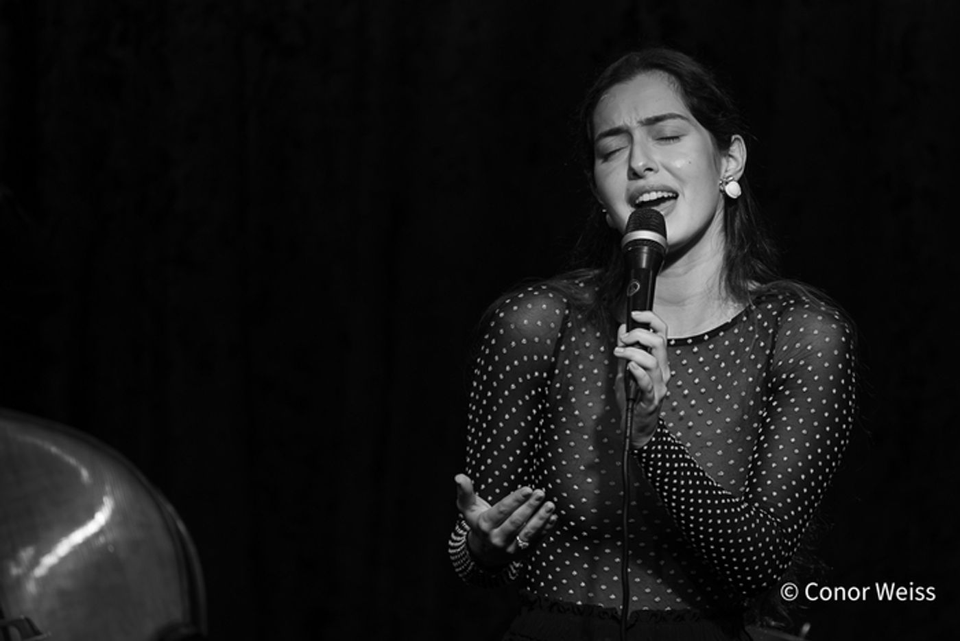 Photos: See Highlights from the ANAIS RENO QUARTET at Birdland  Image