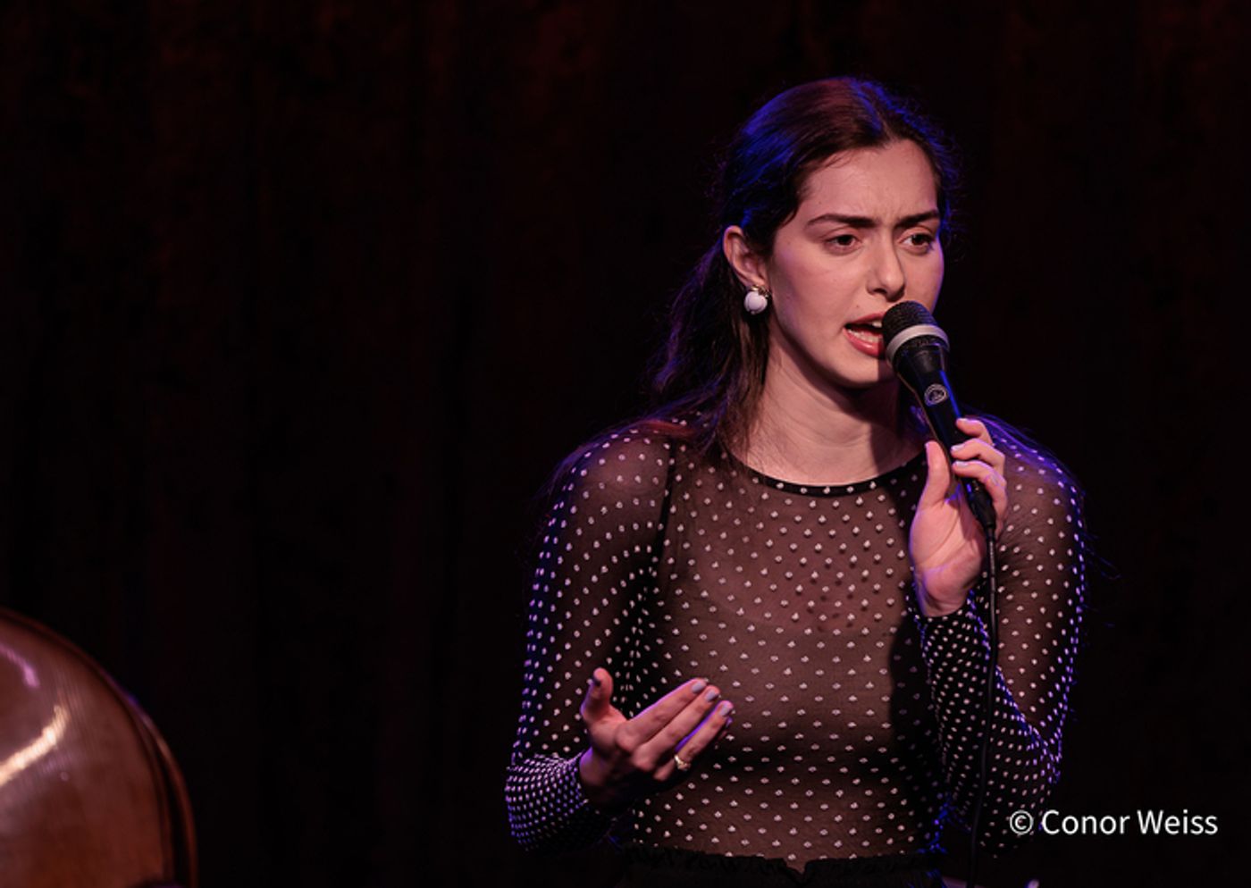 Photos: See Highlights from the ANAIS RENO QUARTET at Birdland  Image