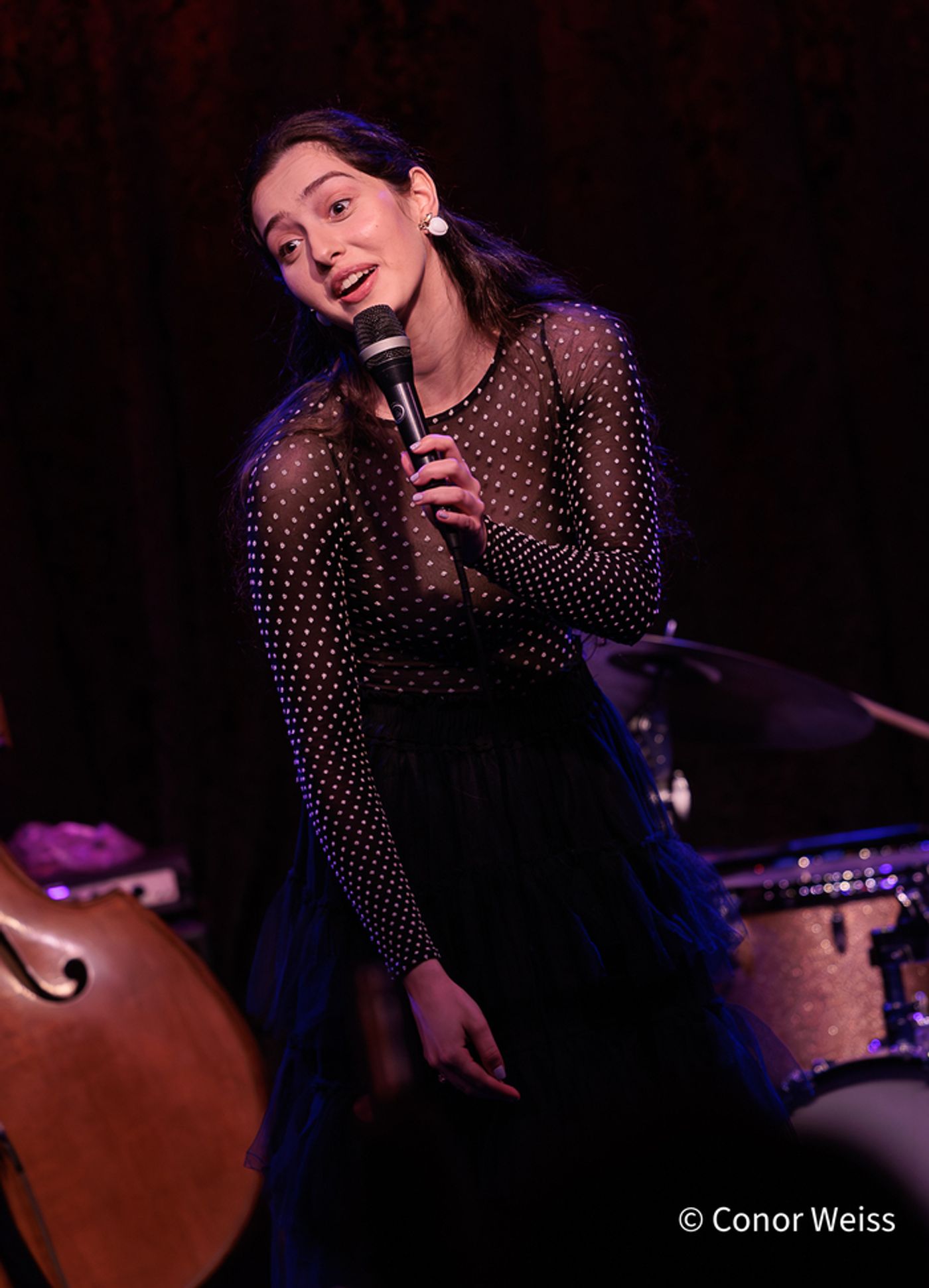 Photos: See Highlights from the ANAIS RENO QUARTET at Birdland  Image