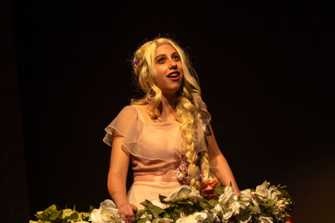 Photos: First look at Dublin Coffman High School Drama Club’s INTO THE WOODS  Image