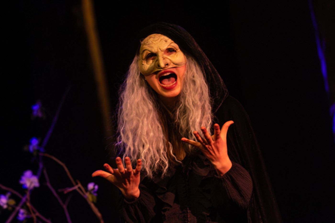 Photos: First look at Dublin Coffman High School Drama Club’s INTO THE WOODS  Image