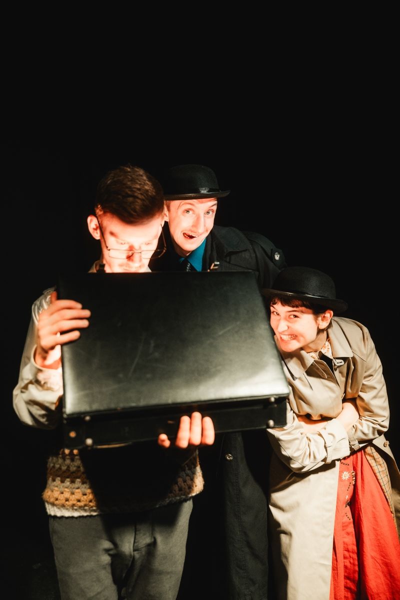 Review: A BRIEF CASE OF CRAZY, Riverside Studios Image