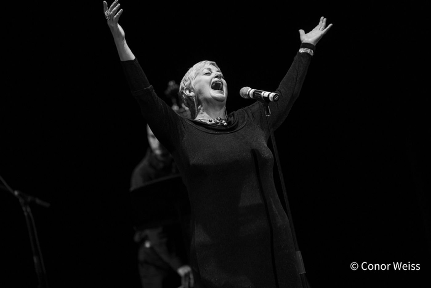 Photos: See Highlights from the 39TH ANNUAL MAC AWARDS at Symphony Space  Image