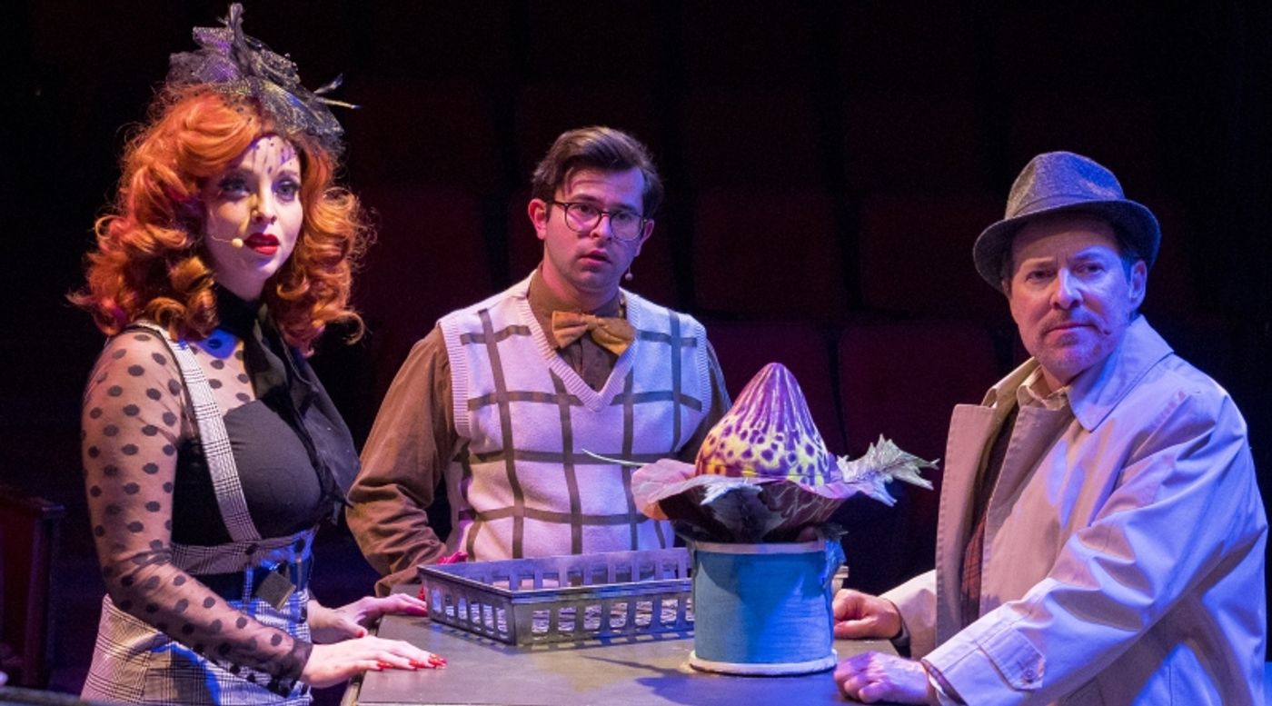 Interview: Justin Meyer on Directing LITTLE SHOP OF HORRORS at The Nocturne Theatre  Image