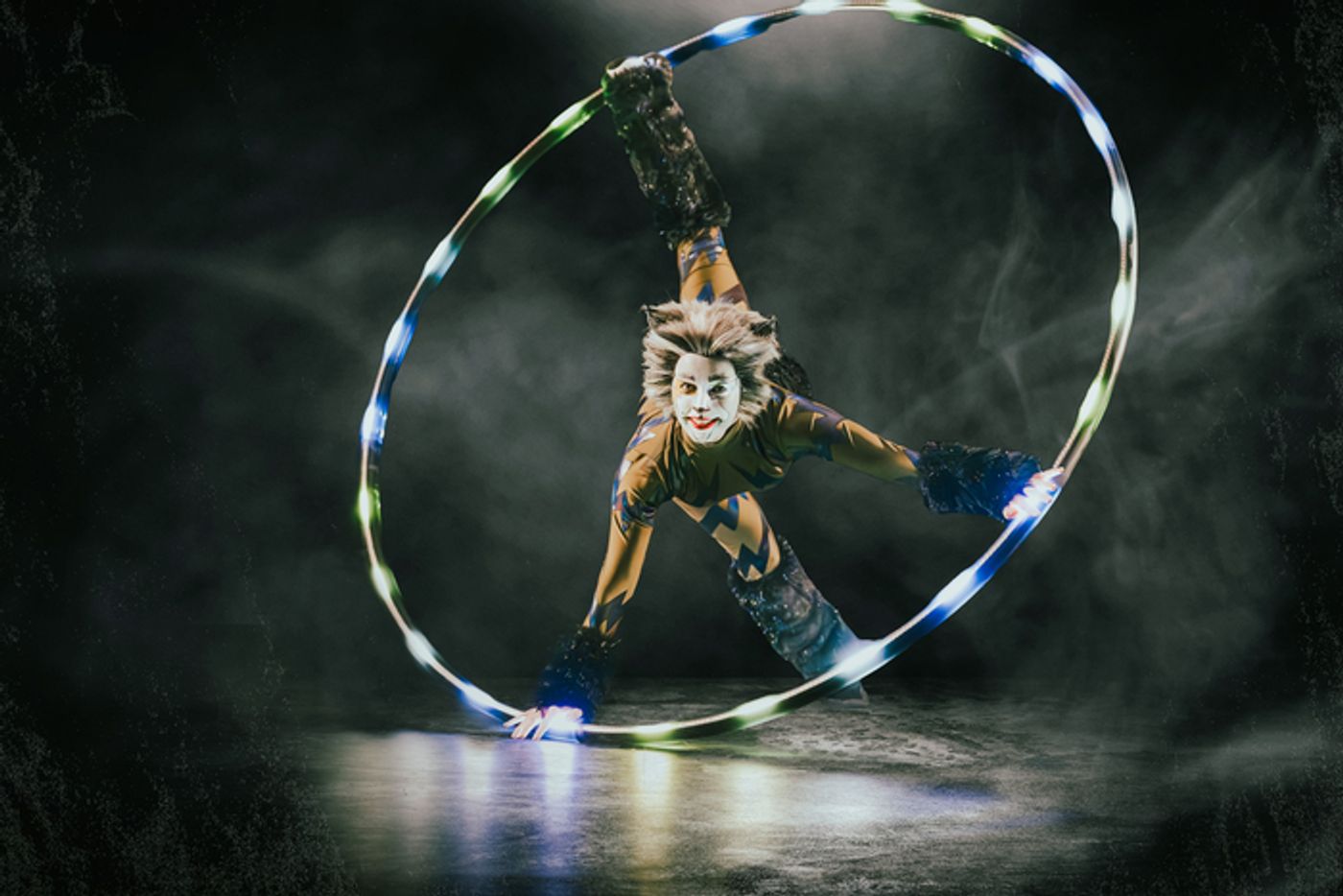 Photos: Meet the Cast of CATS At Paramount Theatre  Image