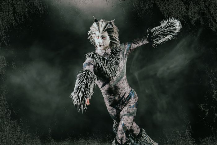 Photos: Meet the Cast of CATS At Paramount Theatre — photo 7 of 8