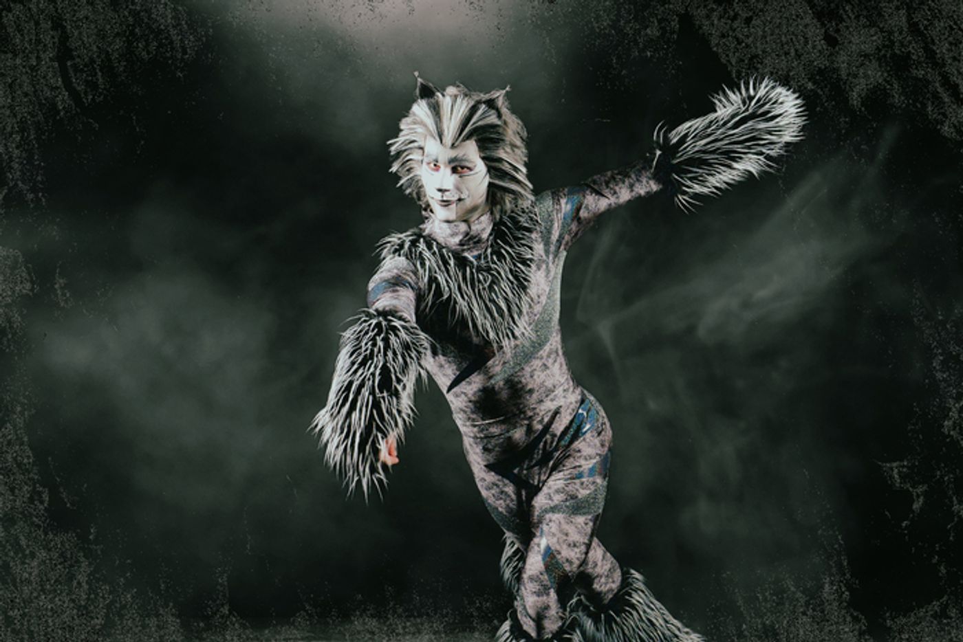 Photos: Meet the Cast of CATS At Paramount Theatre  Image