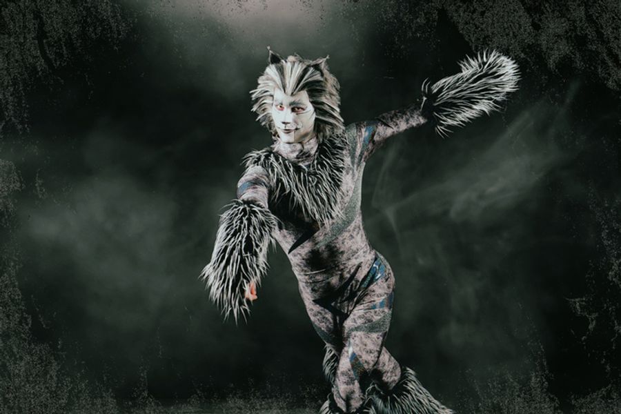 Photos: Meet the Cast of CATS At Paramount Theatre Image