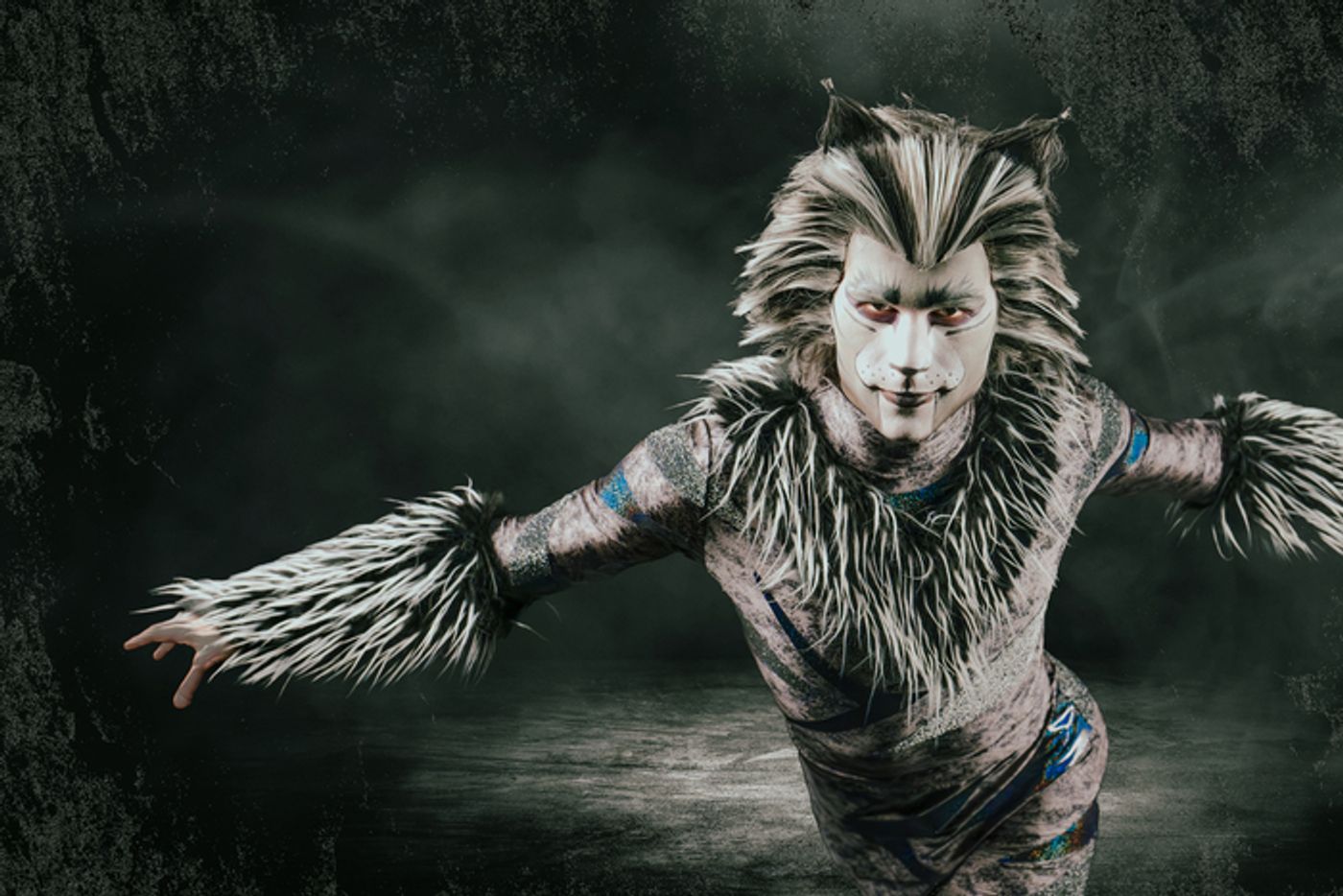 Photos: Meet the Cast of CATS At Paramount Theatre  Image