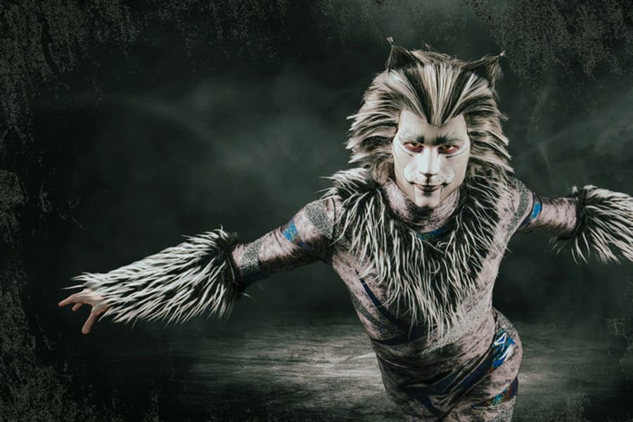 Photos: Meet the Cast of CATS At Paramount Theatre Image