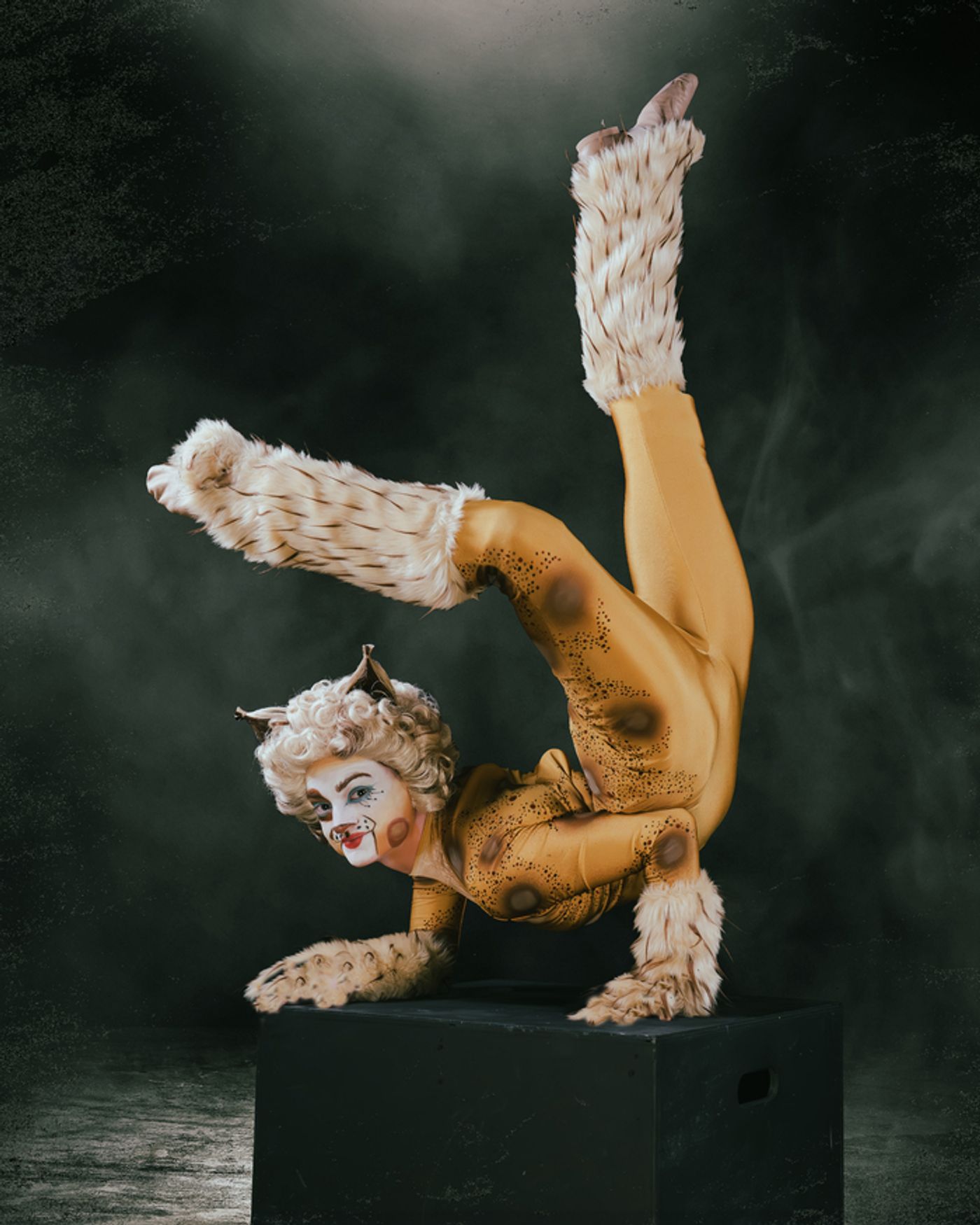 Photos: Meet the Cast of CATS At Paramount Theatre  Image