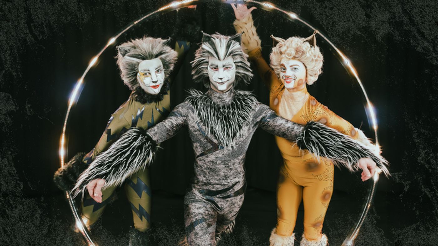 Photos: Meet the Cast of CATS At Paramount Theatre Photos: Meet the Cast of CATS At Paramount Theatre Image