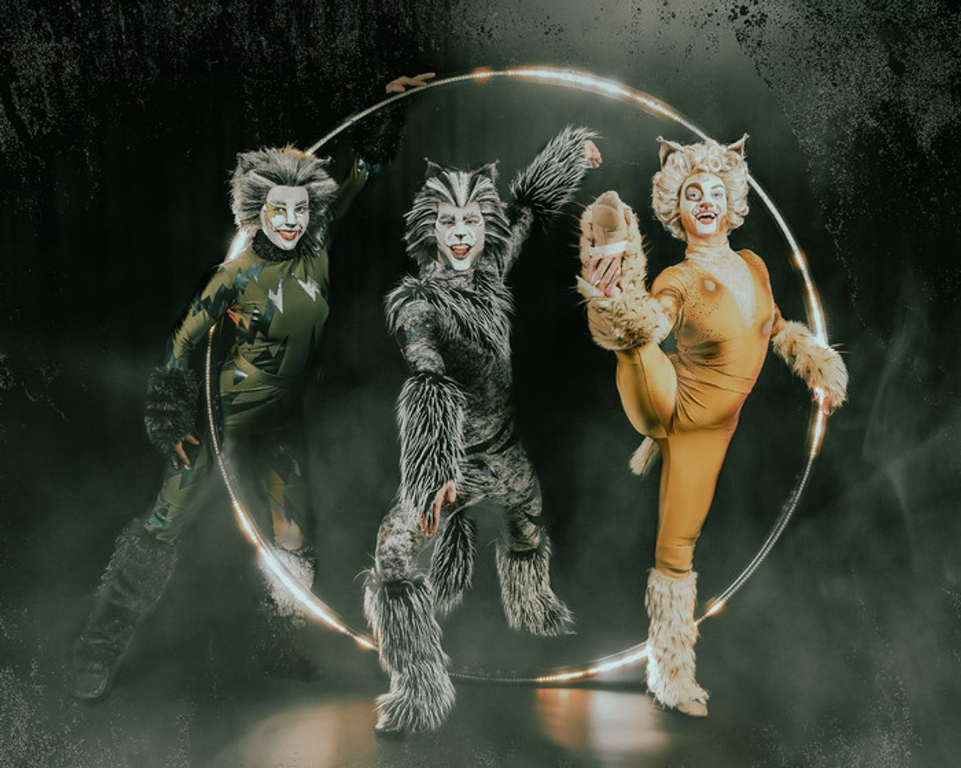 Photos: Meet the Cast of CATS At Paramount Theatre Photos: Meet the Cast of CATS At Paramount Theatre Image