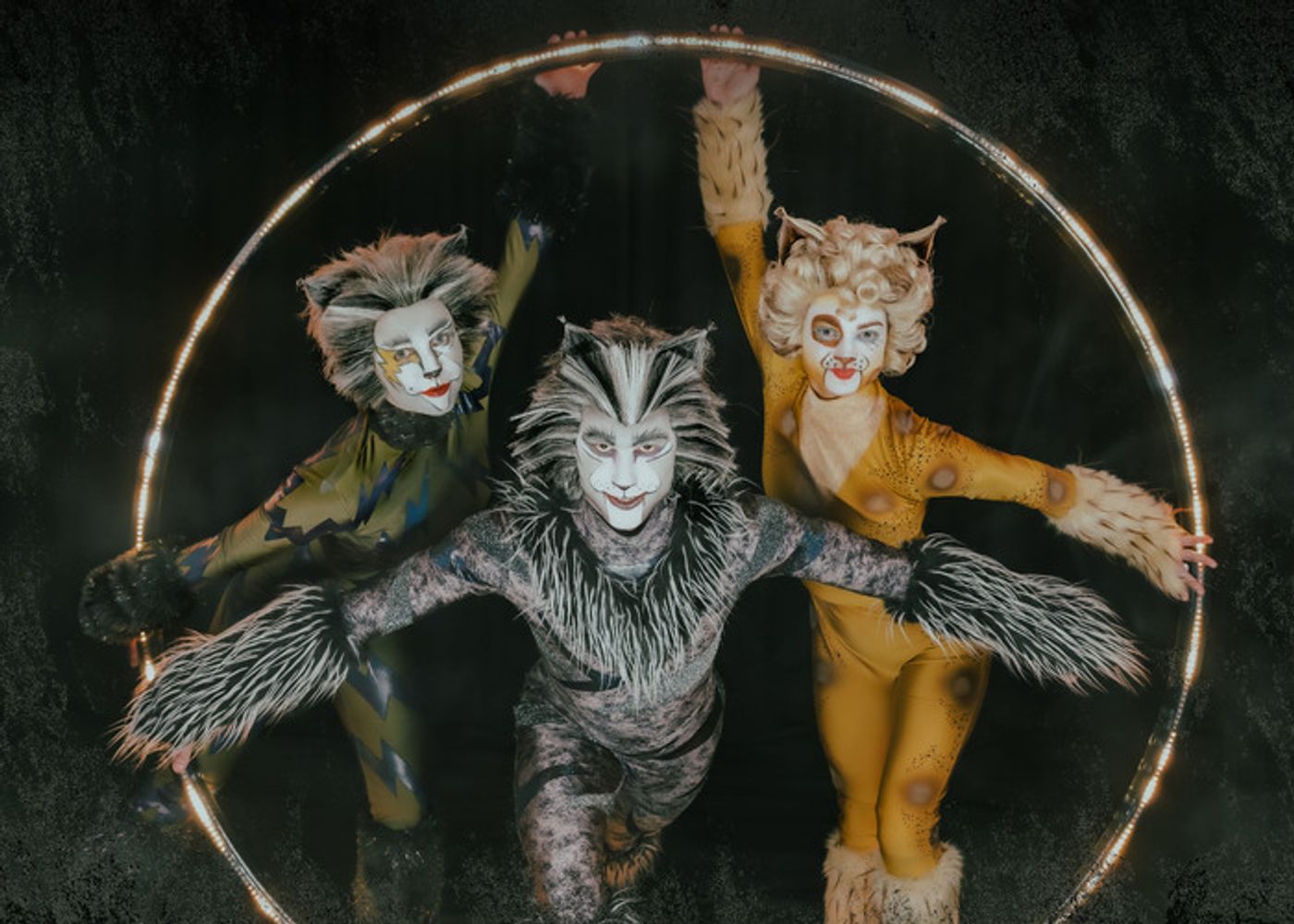 Photos: Meet the Cast of CATS At Paramount Theatre Photos: Meet the Cast of CATS At Paramount Theatre Image