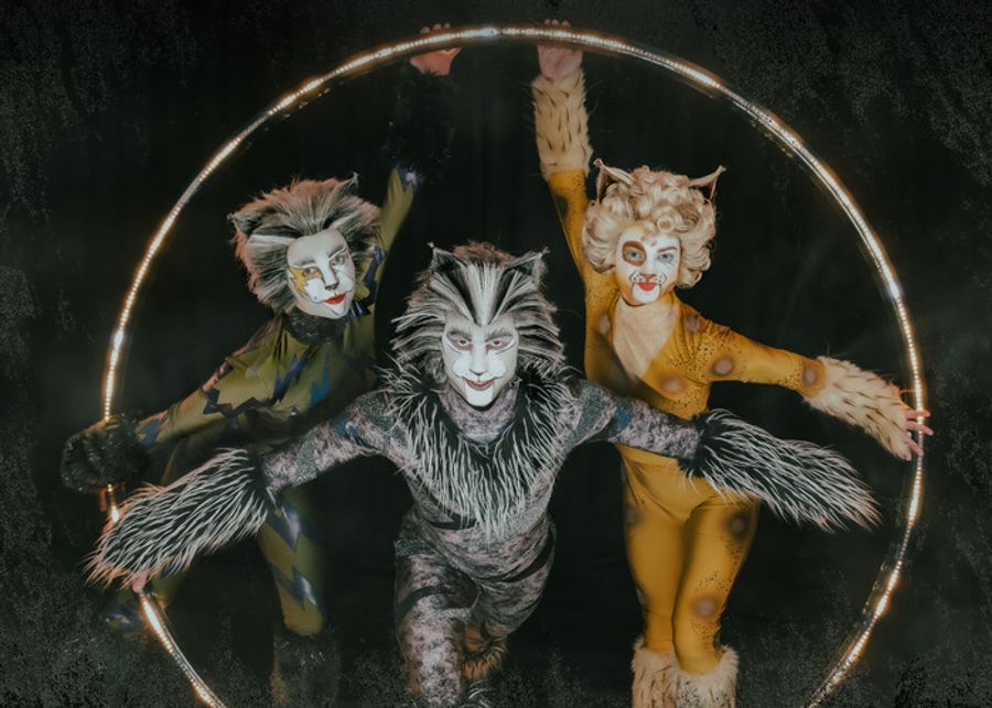 Photos: Meet the Cast of CATS At Paramount Theatre Image