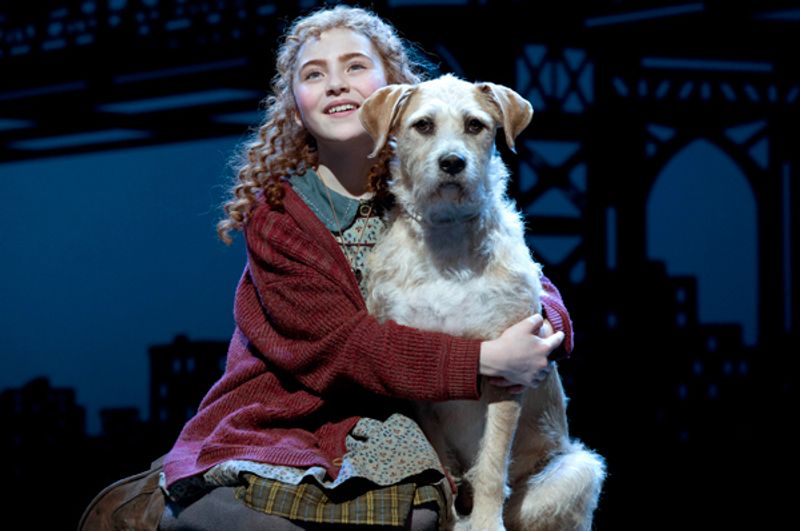 How Often are Live Animals in Broadway Shows?  Image