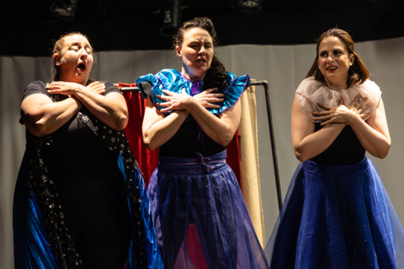 Photos: First Look at Performing Arts Creative Ensemble presents THE ELEPHANT MAN  Image