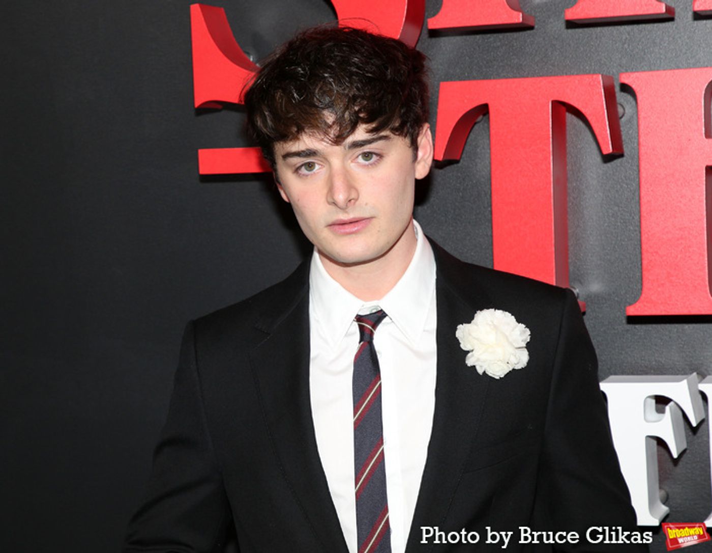 Photos: Natalia Dyer, Charlie Heaton & More on the STRANGER THINGS Red Carpet  Image