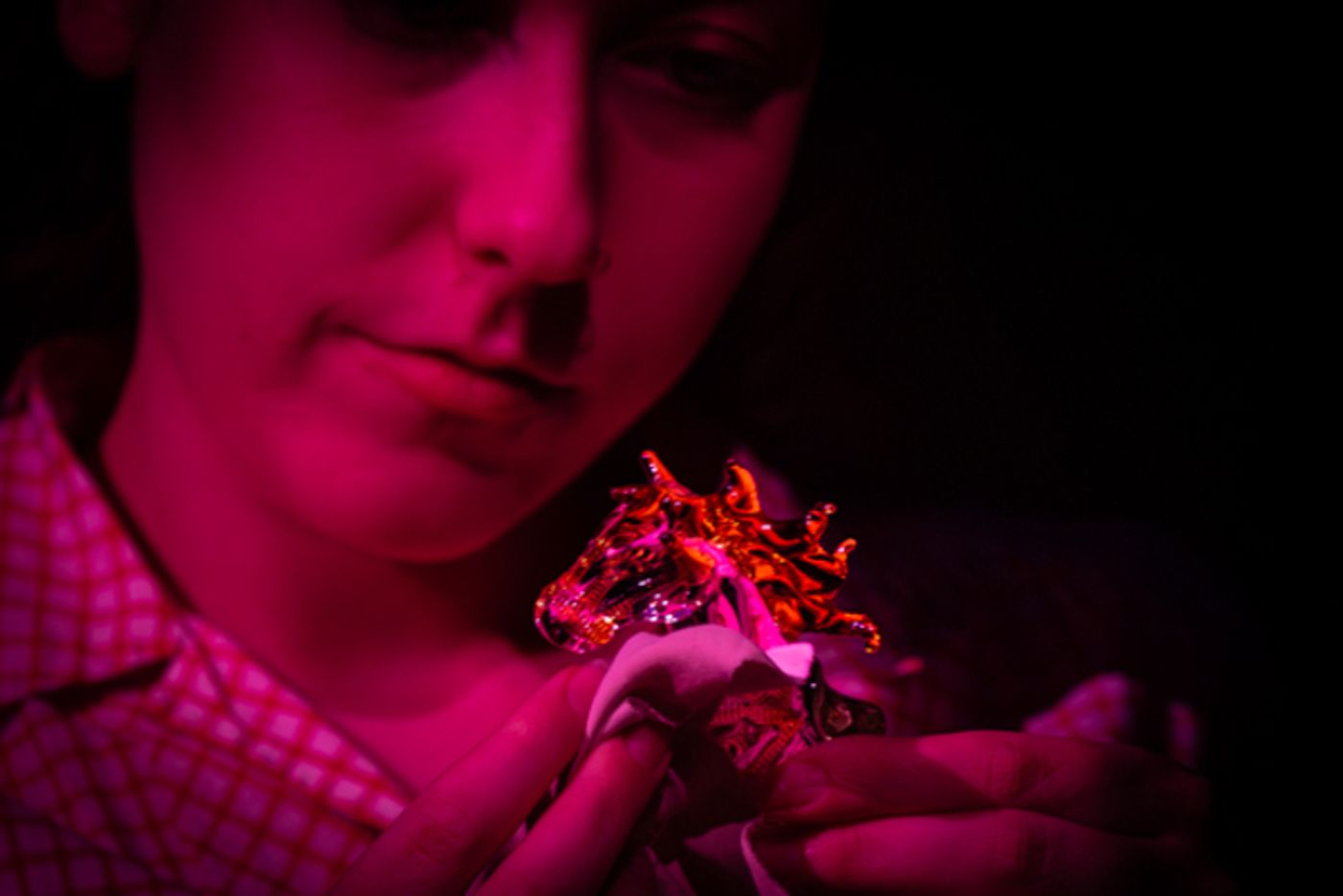 Photos: THE GLASS MENAGERIE At Hilliard Arts Council  Image