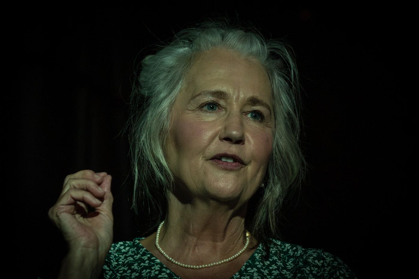 Photos: THE GLASS MENAGERIE At Hilliard Arts Council  Image