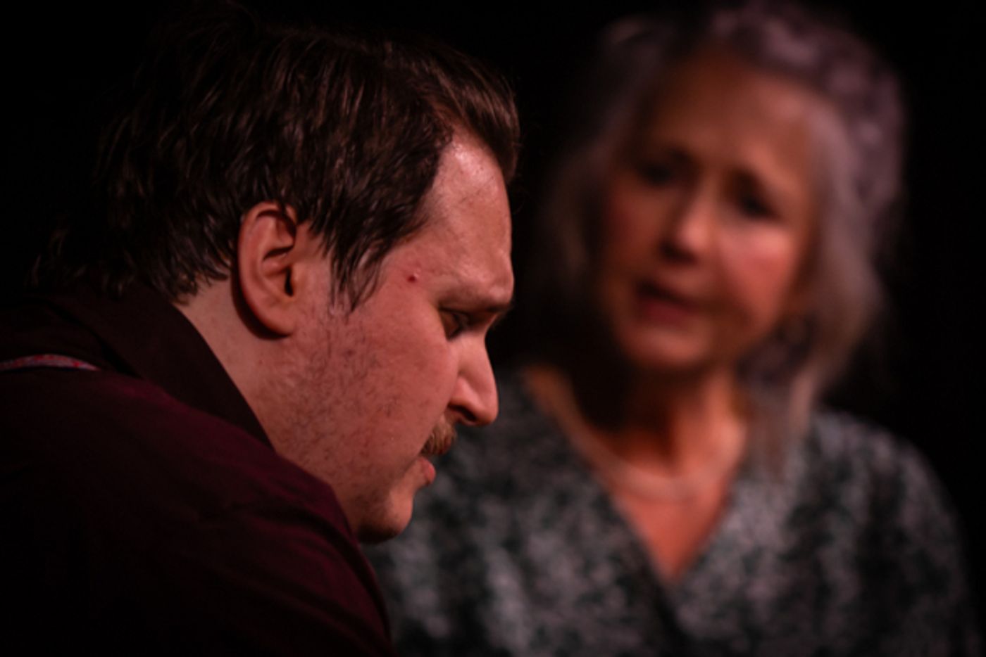 Photos: THE GLASS MENAGERIE At Hilliard Arts Council  Image