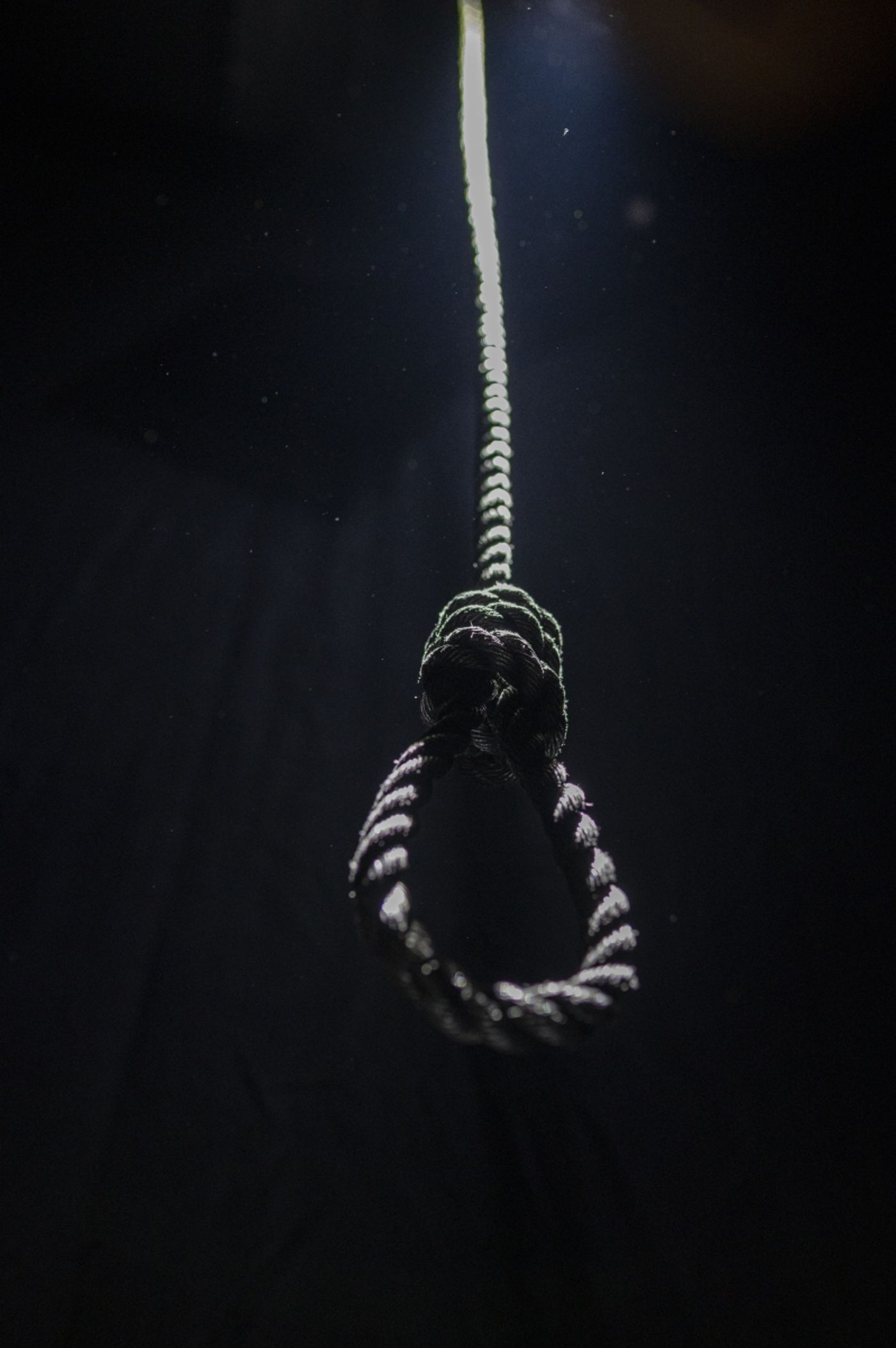 REVIEW: ABIGAIL WILLIAMS Is Told With A Female Awareness That Removes The Double Standards Imposed By A Patriarchal Society.  Image