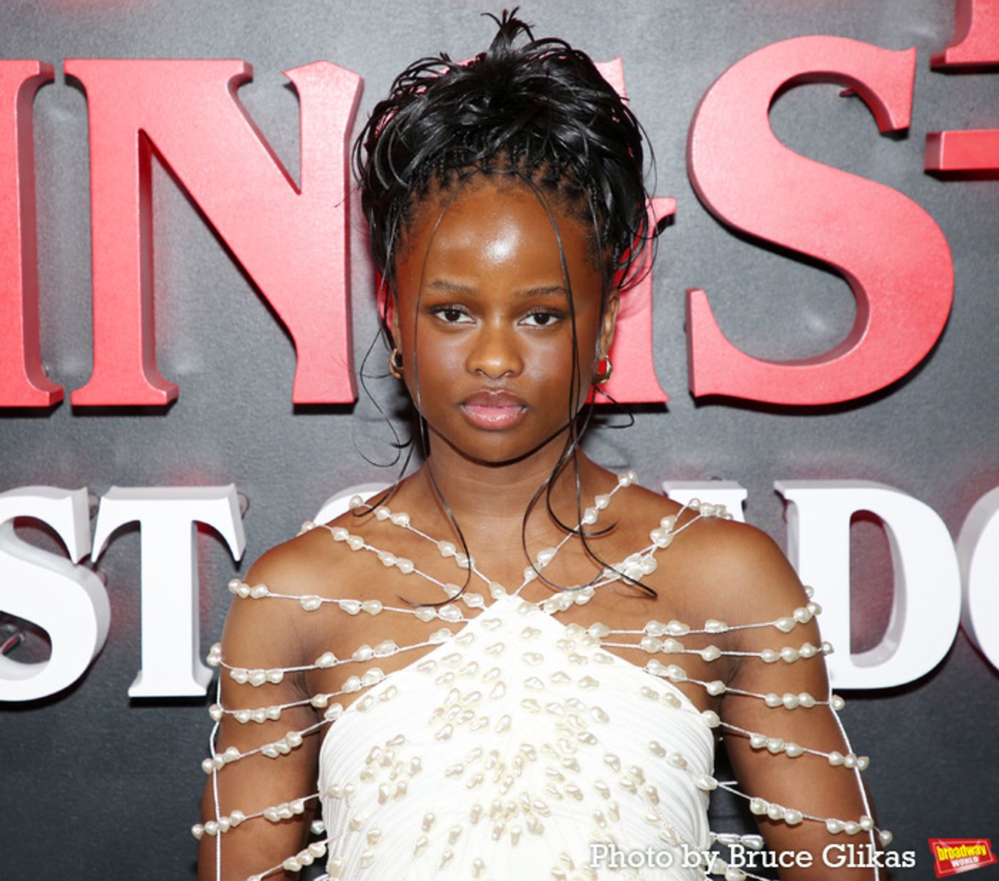 Photos: STRANGER THINGS: THE FIRST SHADOW Cast on Opening Night!  Image