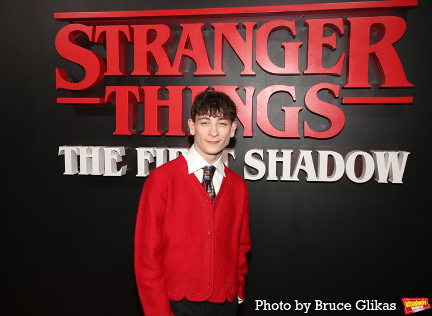 Photos: STRANGER THINGS: THE FIRST SHADOW Cast on Opening Night!  Image