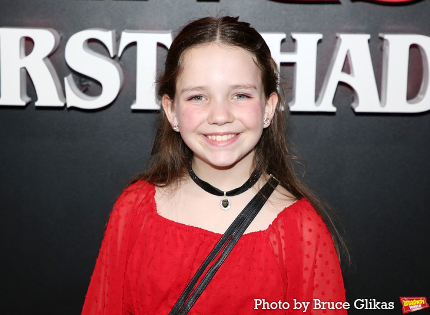 Photos: STRANGER THINGS: THE FIRST SHADOW Cast on Opening Night!  Image