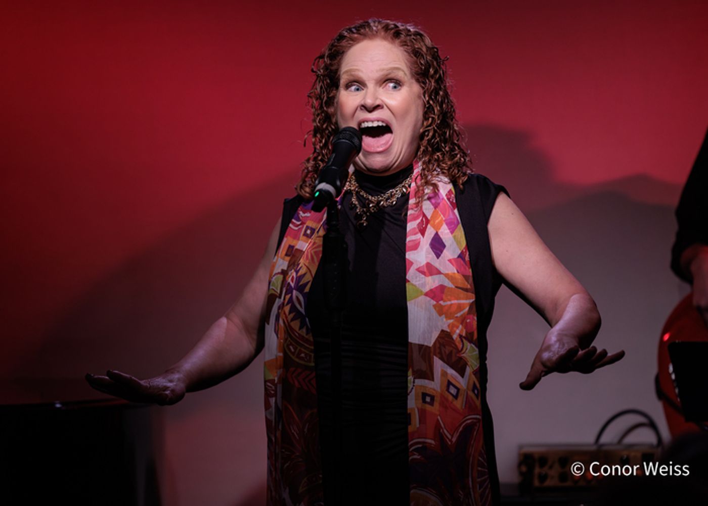 Photos: Janice McCune's LET'S START TOMORROW TONIGHT at Don't Tell Mama  Image