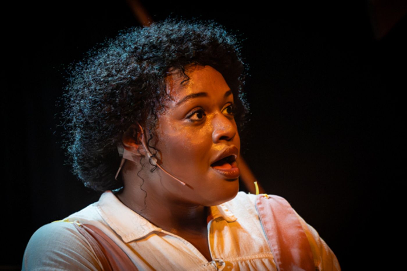 Photos: First look at MTVarts’ SOMERSET TAVERN Photos: First look at MTVarts’ SOMERSET TAVERN Image