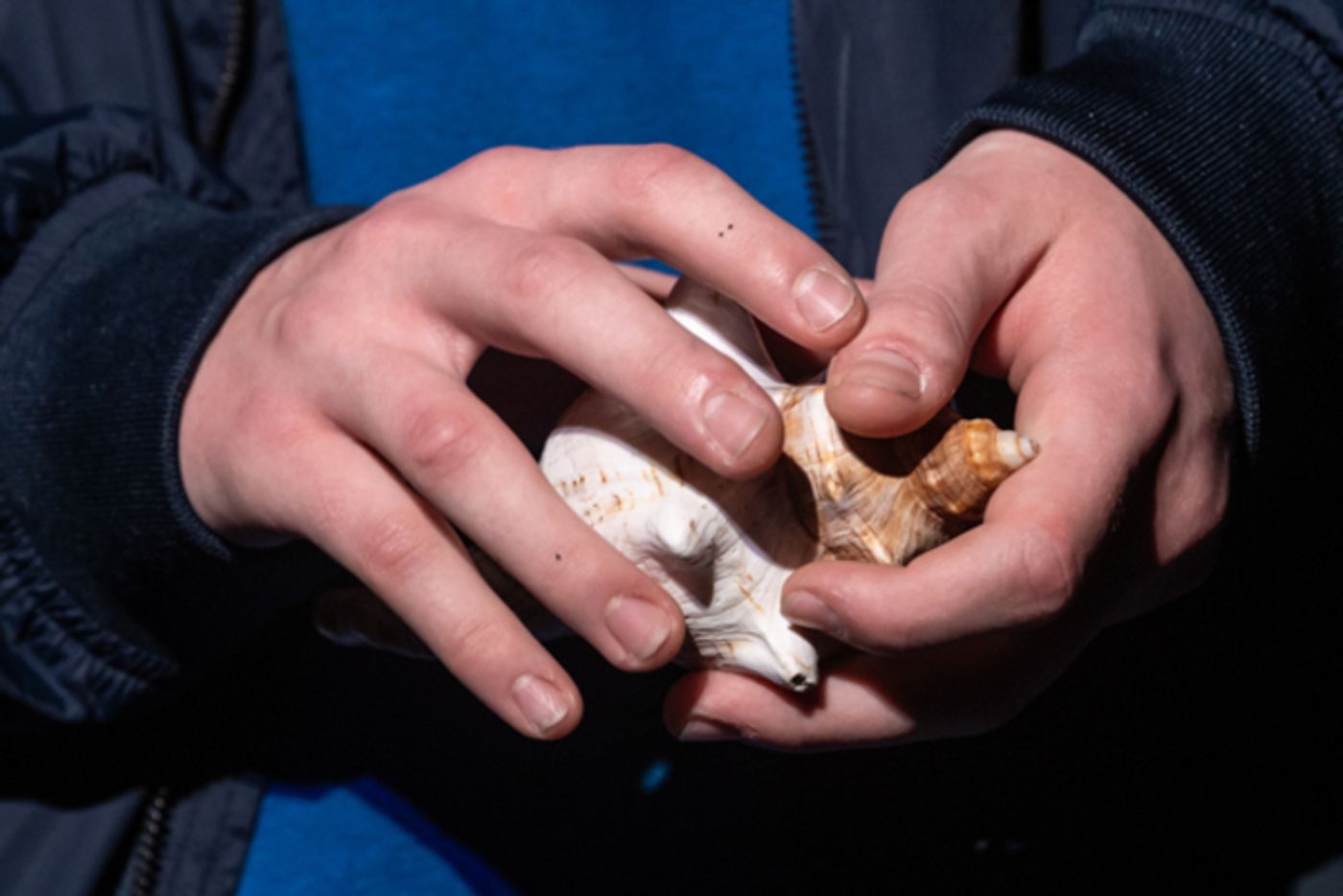 Photos: Inside Ohio Musical Theater Institute’s THE LIGHTNING THIEF: The Percy Jackson Musical Photos: Inside Ohio Musical Theater Institute’s THE LIGHTNING THIEF: The Percy Jackson Musical Image