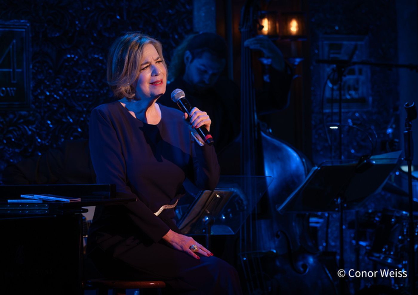 Photos: See Highlights from Celia Berk's FOR THE RECORD at 54 Below  Image