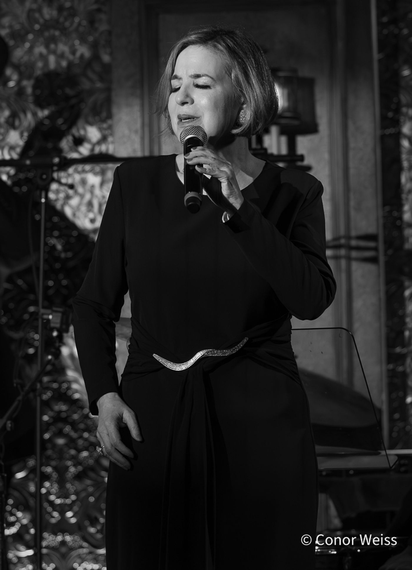 Photos: See Highlights from Celia Berk's FOR THE RECORD at 54 Below  Image