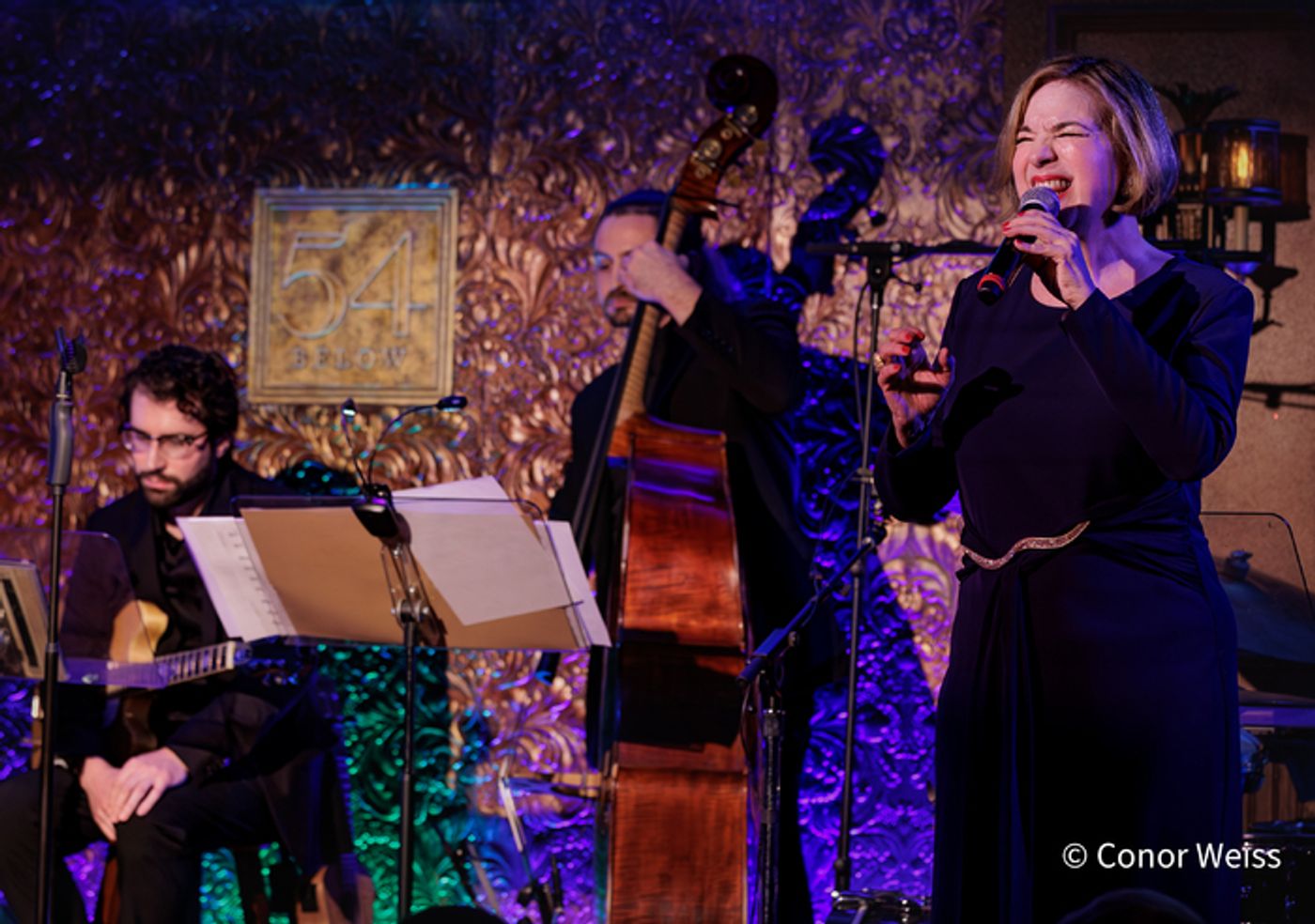 Photos: See Highlights from Celia Berk's FOR THE RECORD at 54 Below  Image