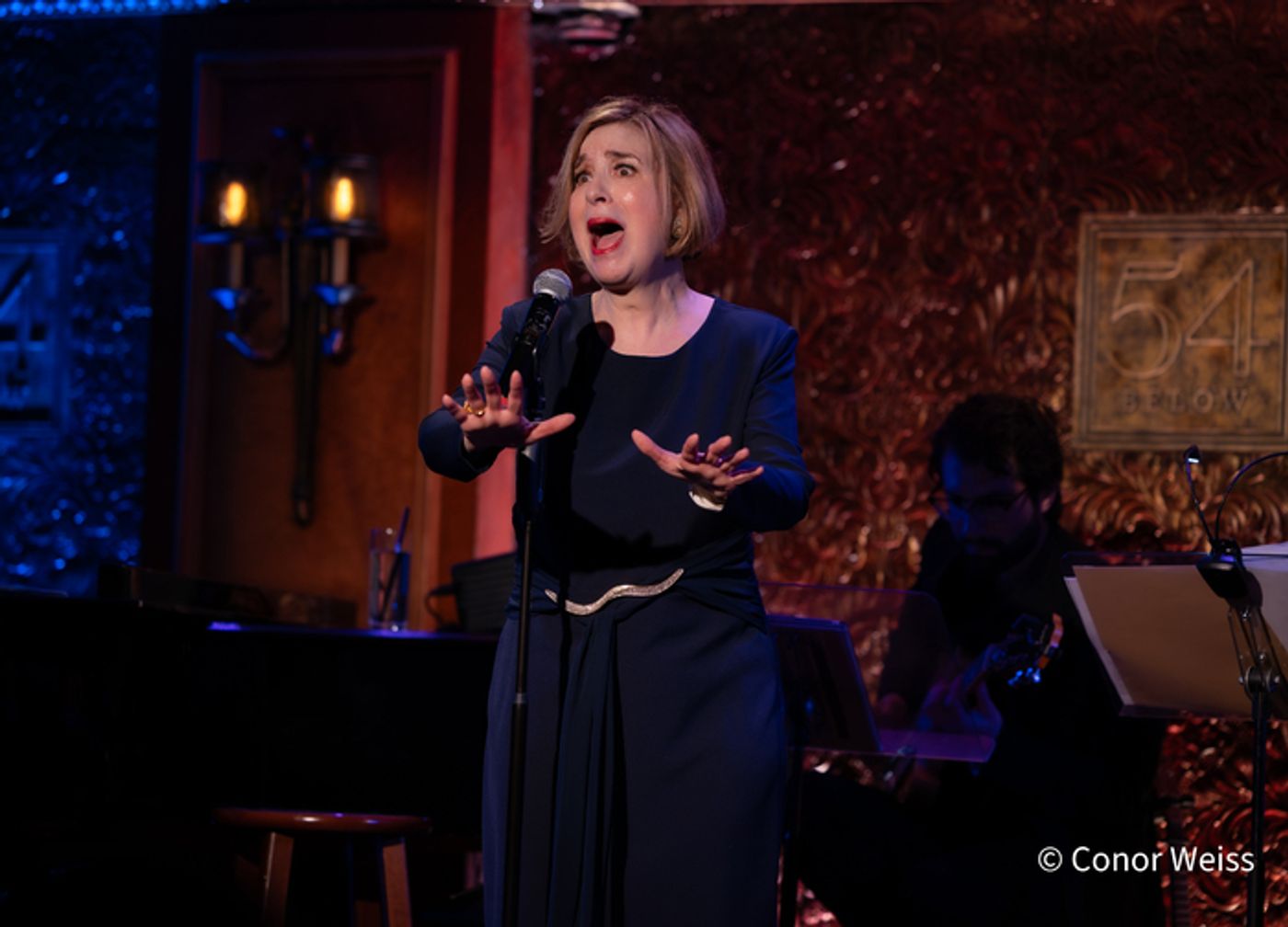 Photos: See Highlights from Celia Berk's FOR THE RECORD at 54 Below  Image