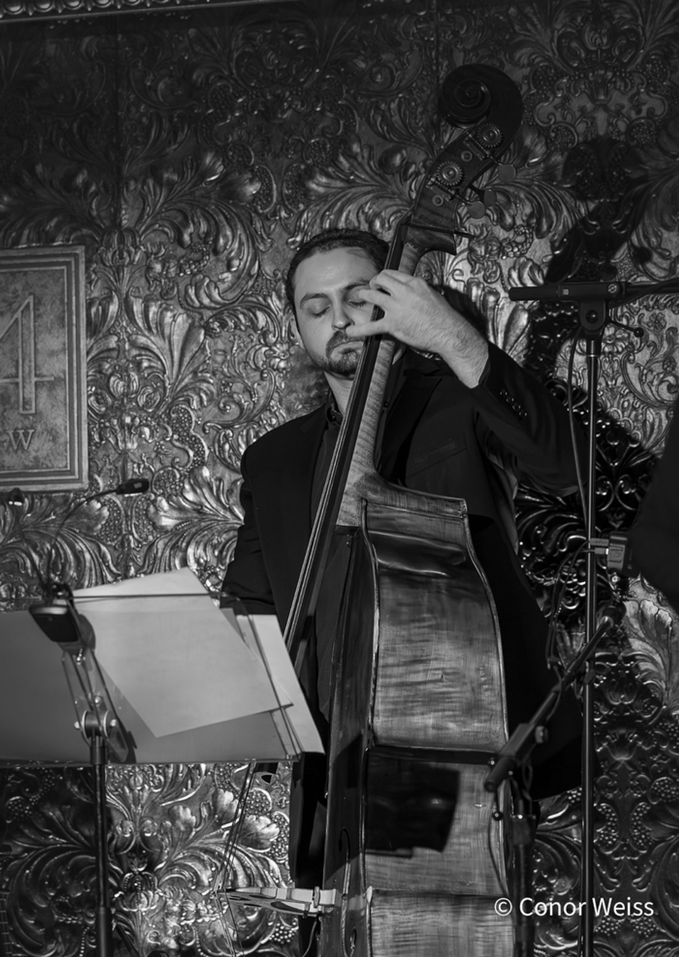 Photos: See Highlights from Celia Berk's FOR THE RECORD at 54 Below  Image