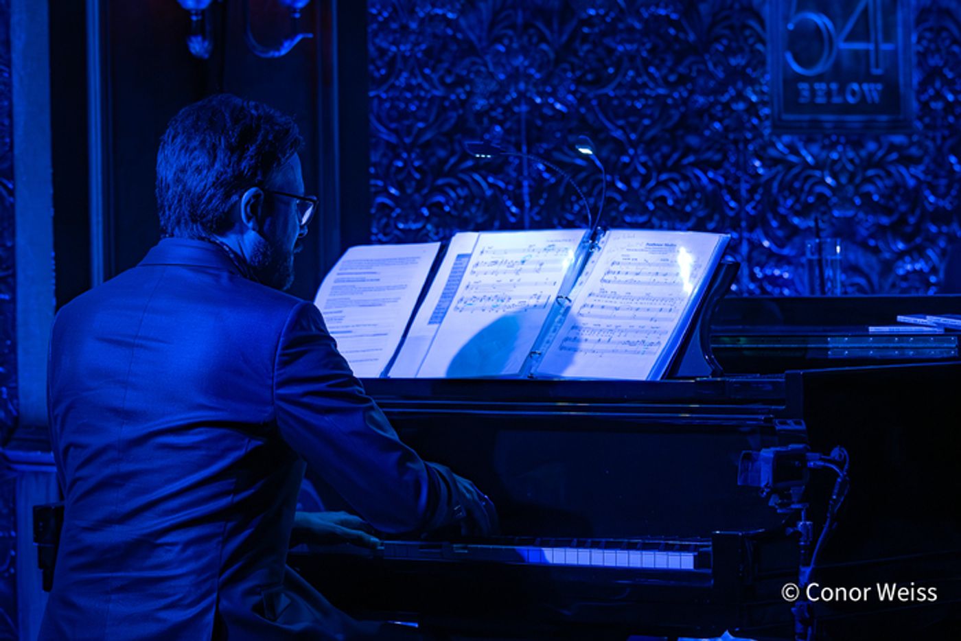 Photos: See Highlights from Celia Berk's FOR THE RECORD at 54 Below  Image