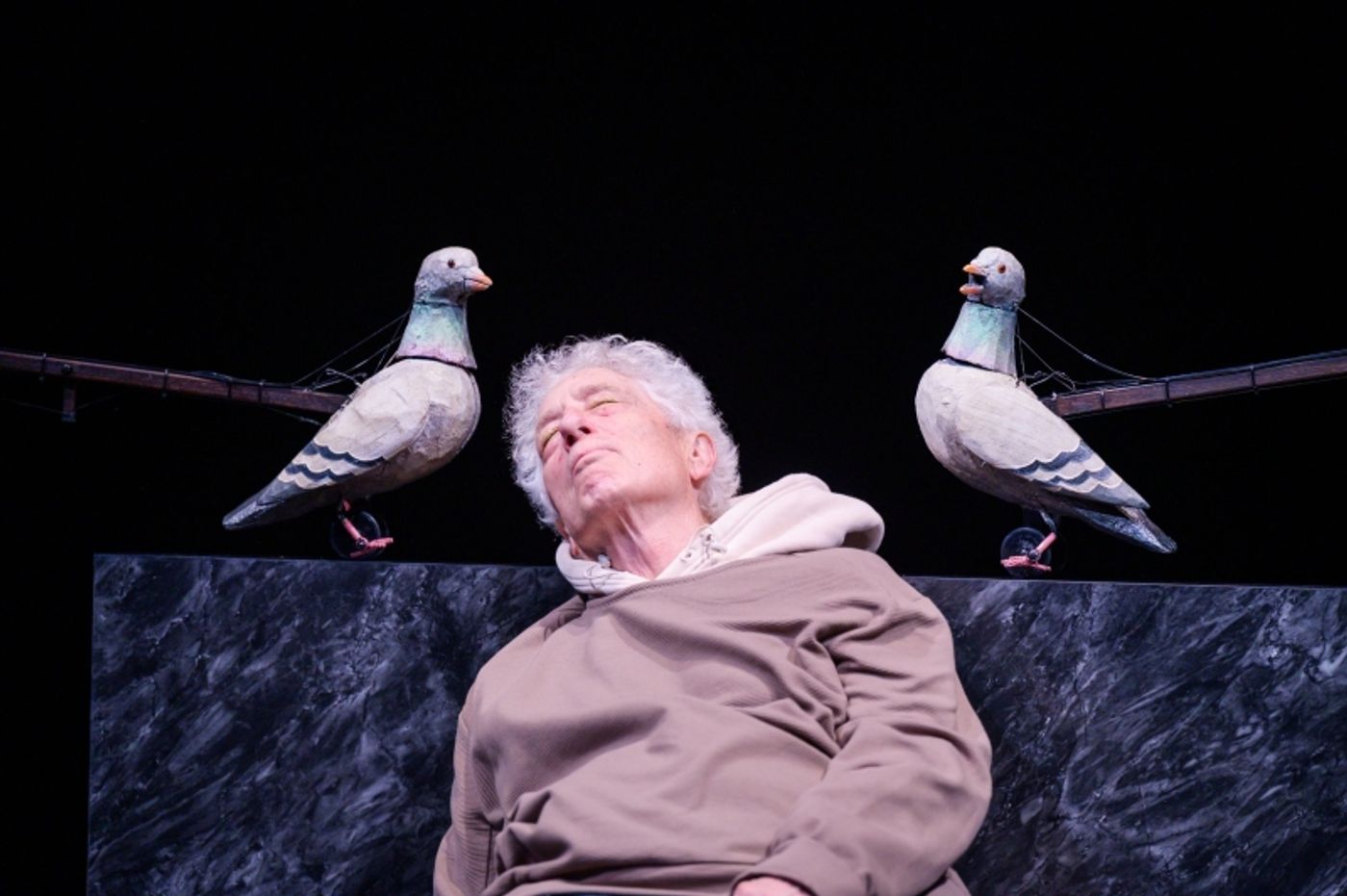 Review: THE AVES at Berkeley Repertory Theatre  Image