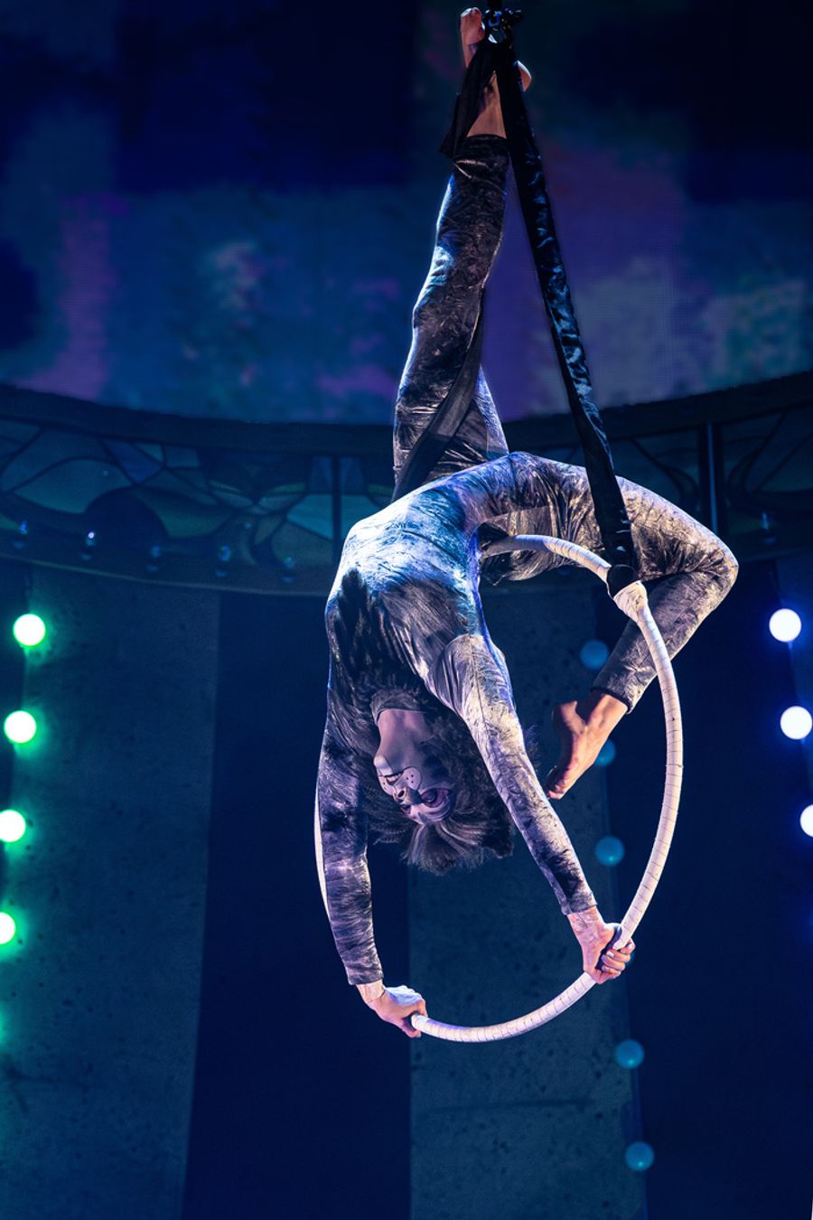 Photos: Circus-Themed CATS Soars At Chicago's Paramount Theatre Image