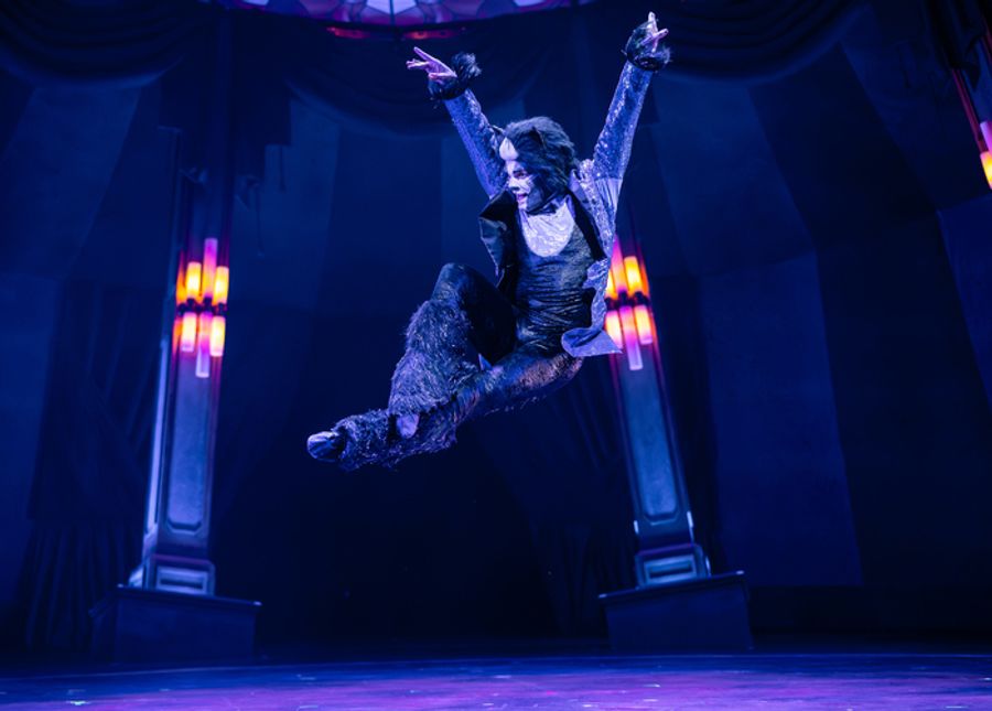 Photos: Circus-Themed CATS Soars At Chicago's Paramount Theatre Image